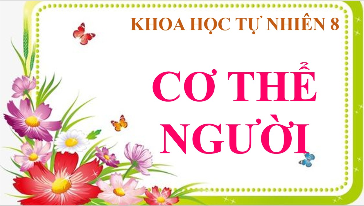 KHTN 8_230426_B11